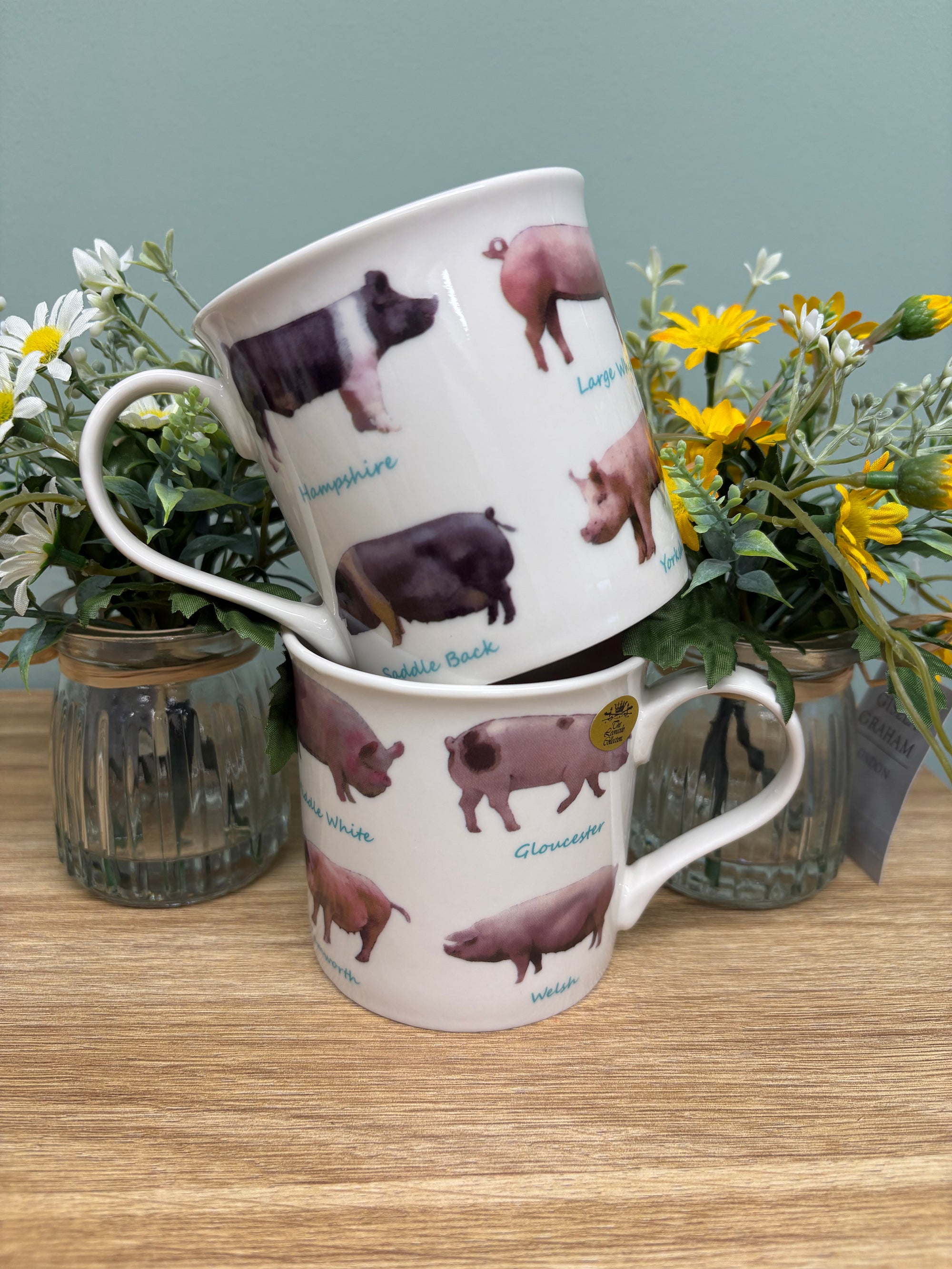 Pig Breed Mug