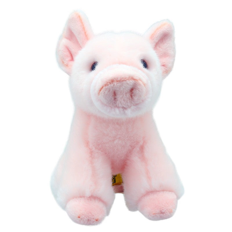 Wilberry Mini Pig