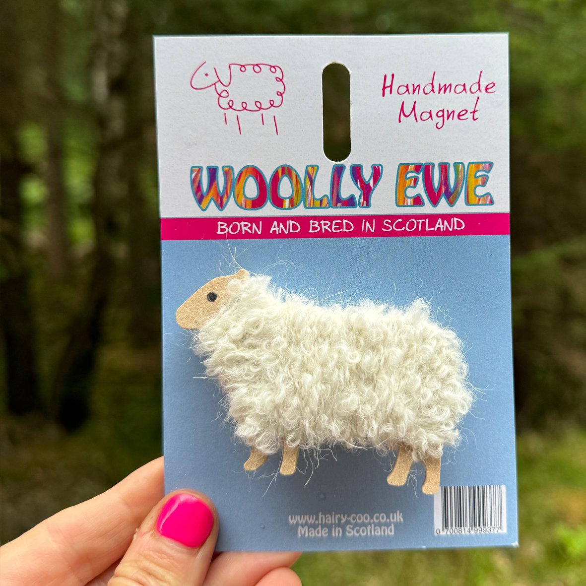 Woolly Ewe Magnet