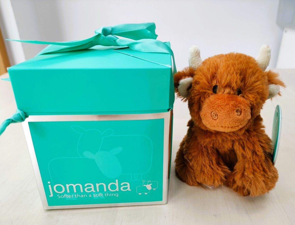 Jomanda Mini Highland Cow Plush in Box